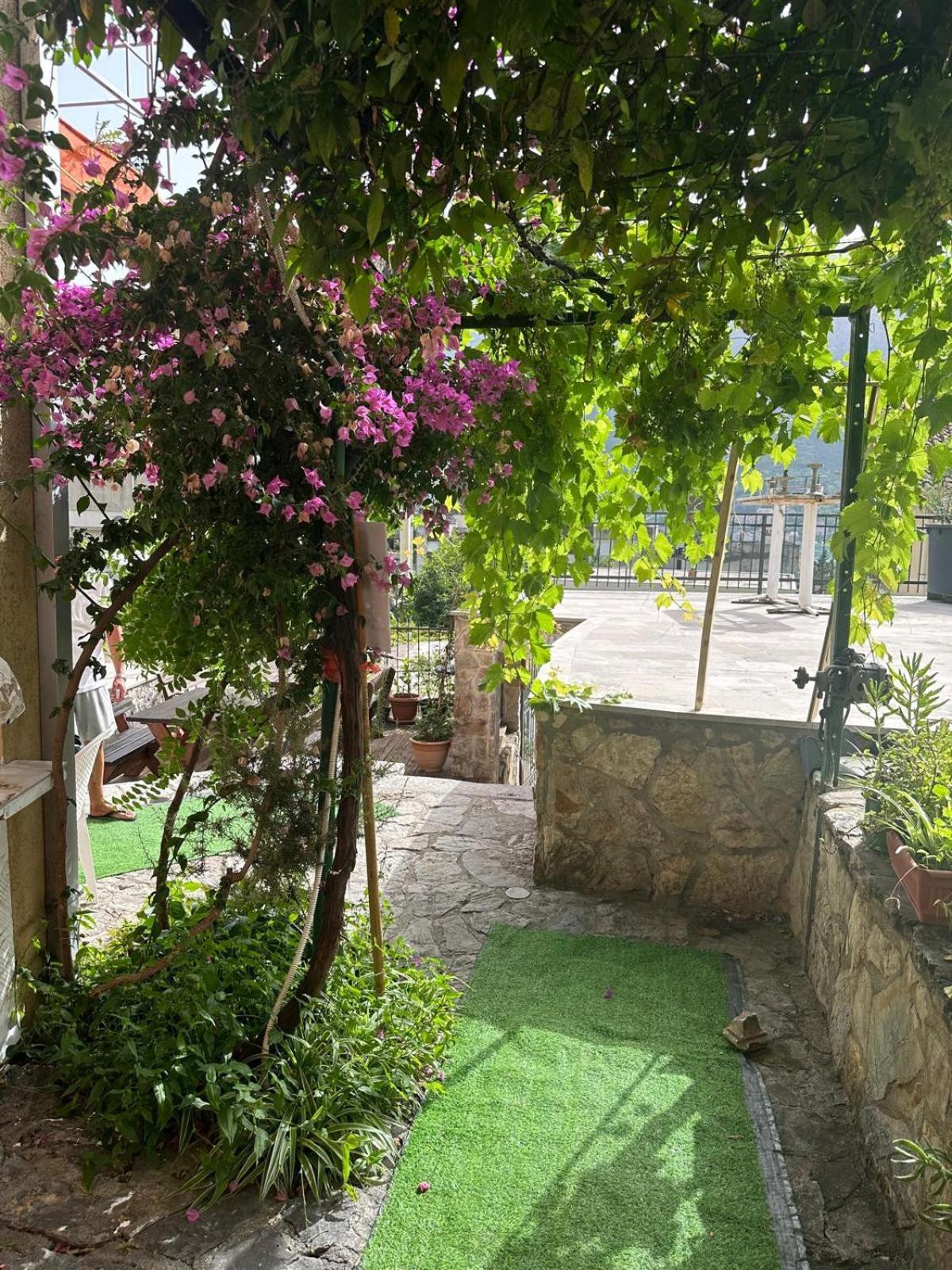 Themis Apart Hotel Kotor Exterior foto